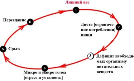 izobrazenie113